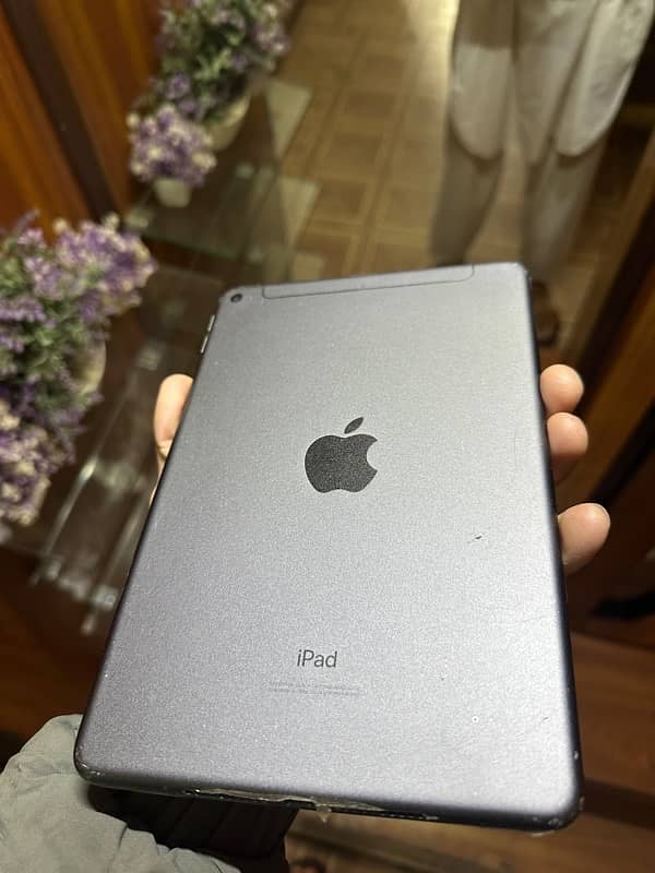 i pad mini 5   256 gb 1