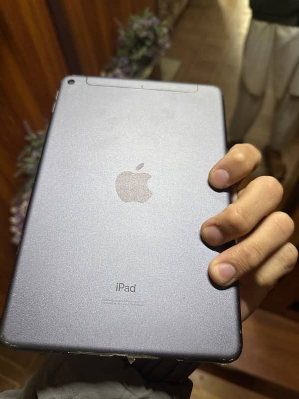 i pad mini 5   256 gb 3