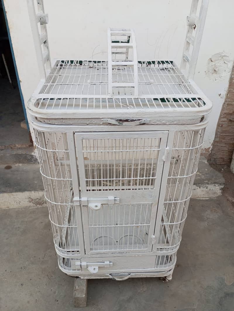 Parrot Cage | Bird Cage | Hen Cage in Excellent Condition 0