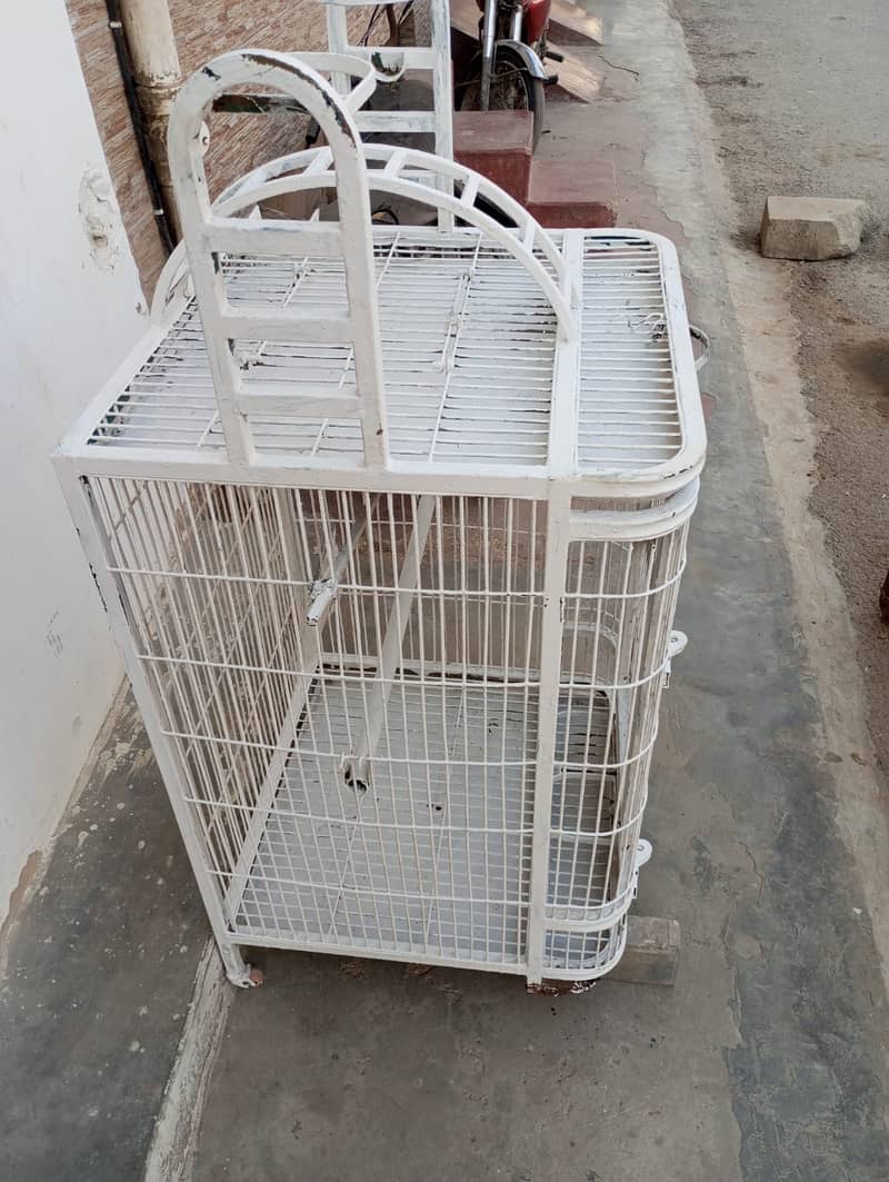 Parrot Cage | Bird Cage | Hen Cage in Excellent Condition 1