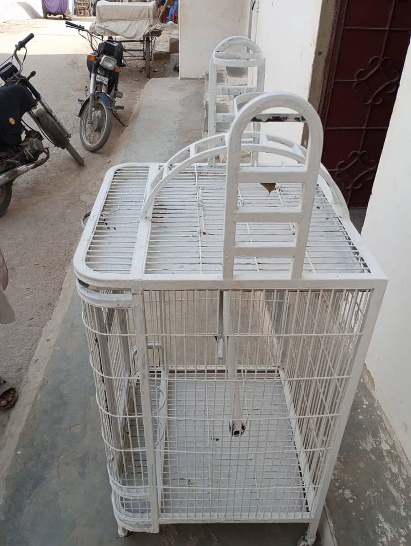 Parrot Cage | Bird Cage | Hen Cage in Excellent Condition 2