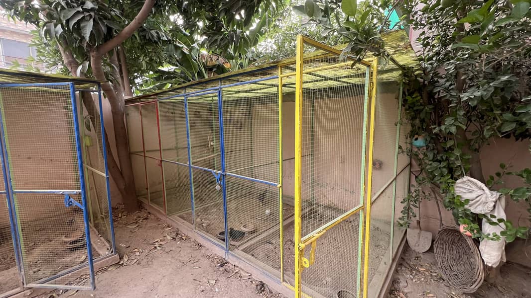 Hen and Pets Cages 8