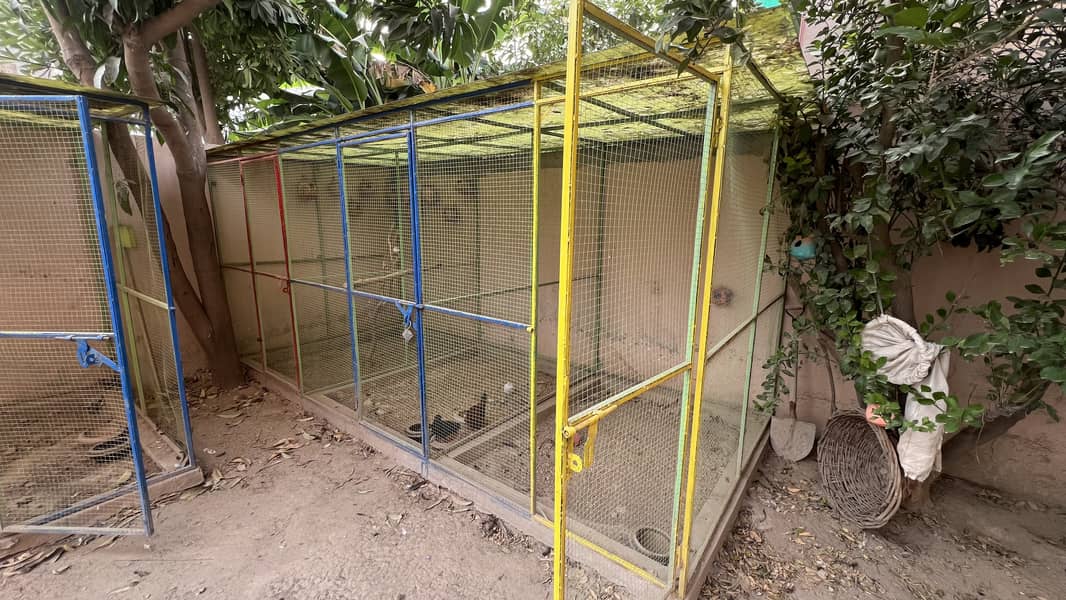 Hen and Pets Cages 9