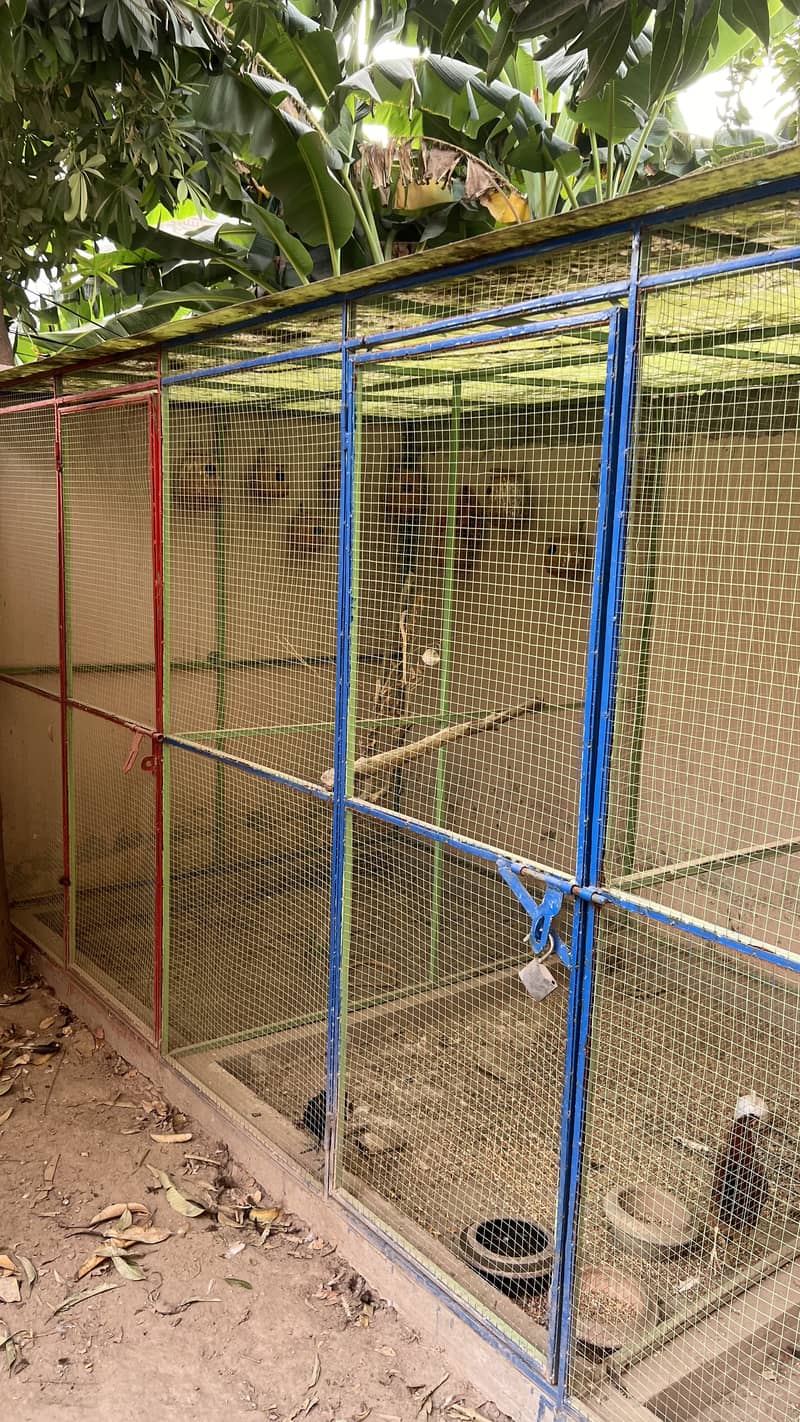 Hen and Pets Cages 13