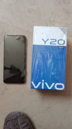 vivo