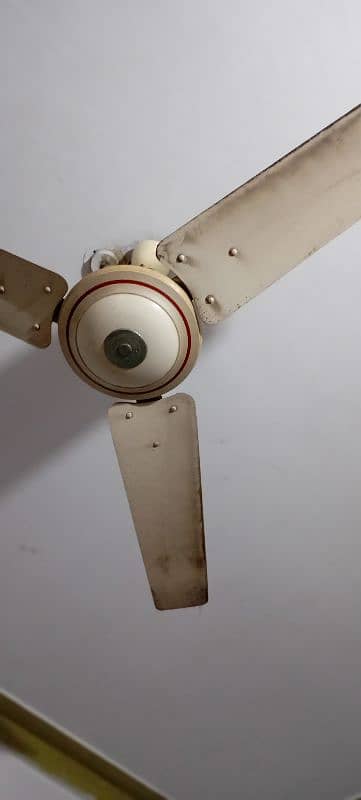 ceiling fan for sale 0