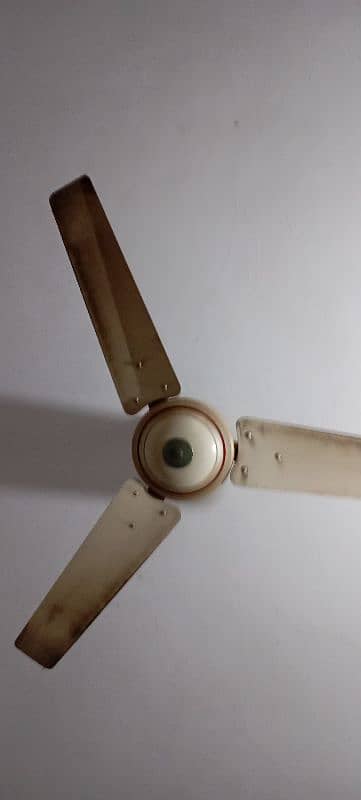 ceiling fan for sale 1