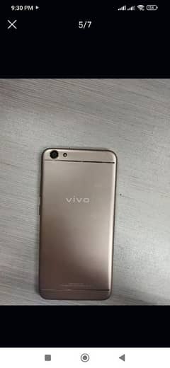 Vivo