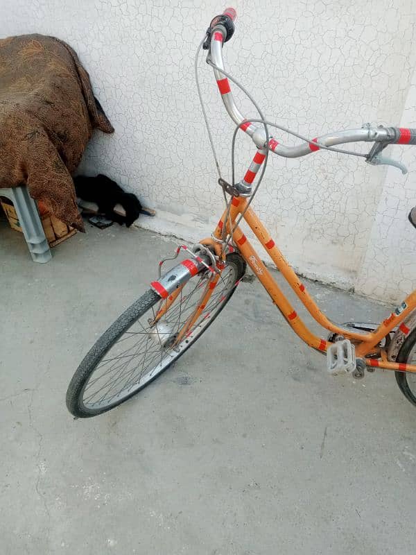 japani bicycle 1