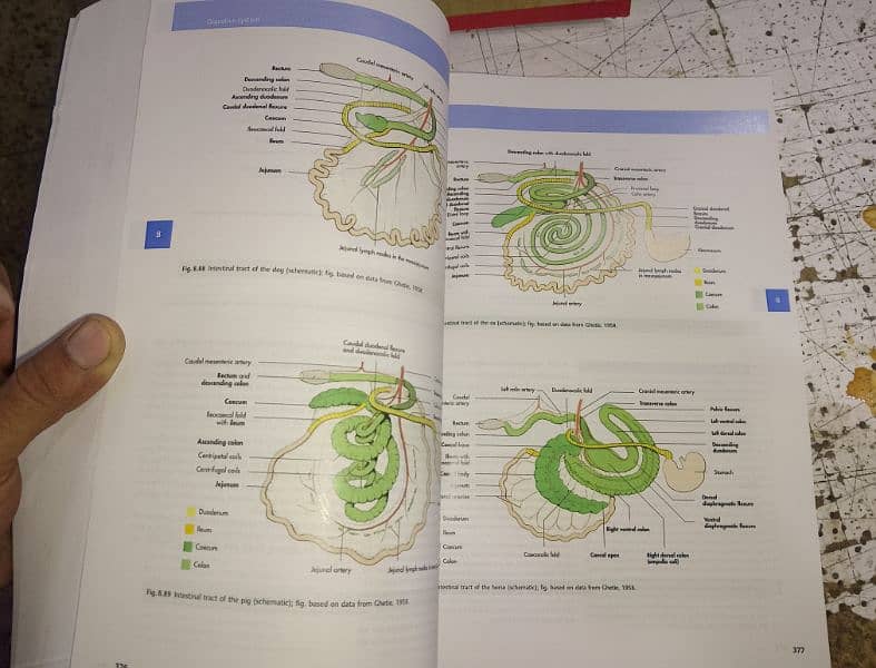 2.2 per side Photocopy,LaserCopy,Inkjet,PrintOut,Binding 7