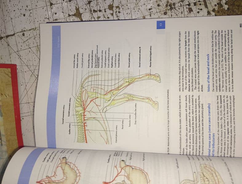 2.2 per side Photocopy,LaserCopy,Inkjet,PrintOut,Binding 8