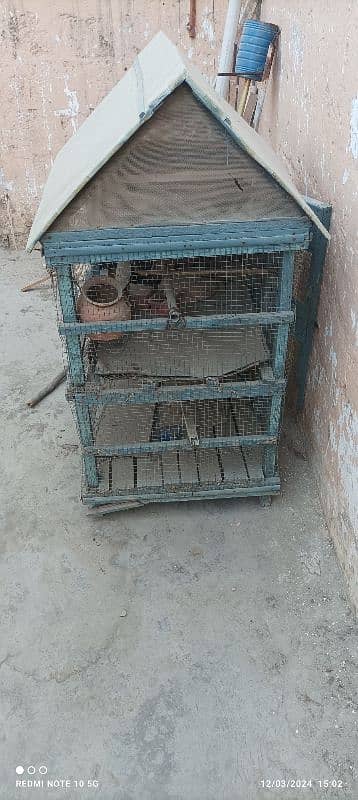 birds pinjra Hy 03463255175 2