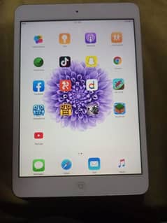 ipad Mini 1 32gb