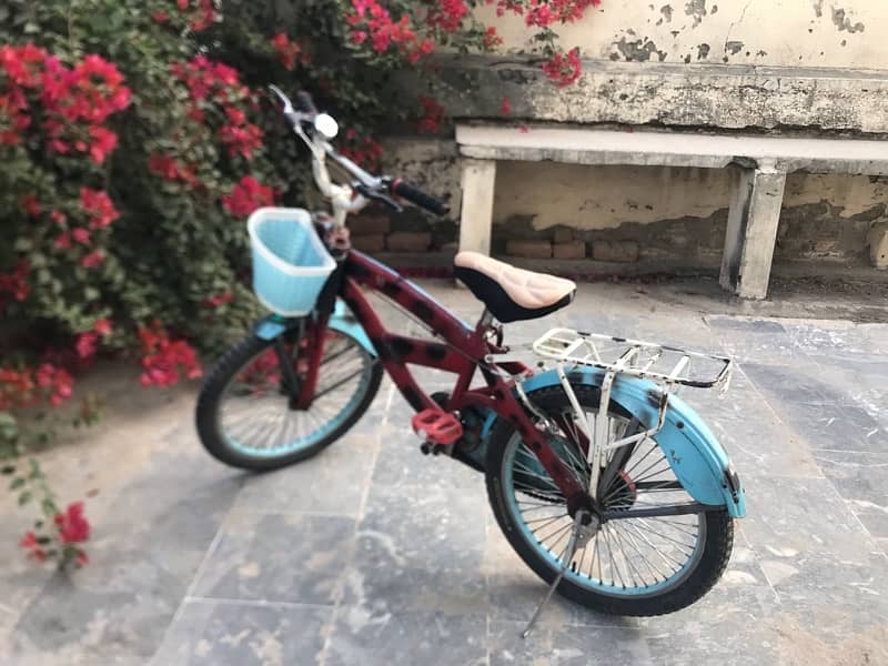 20inch Bicycle For Sale 2