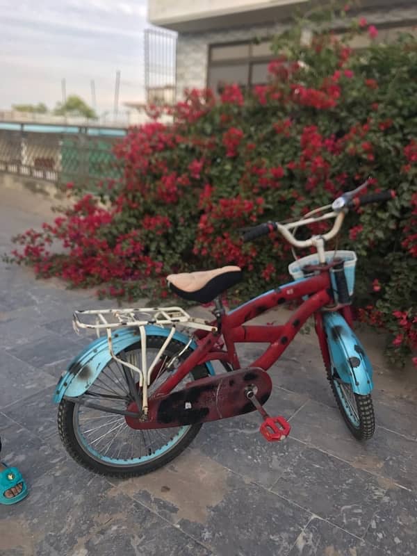 20inch Bicycle For Sale 3