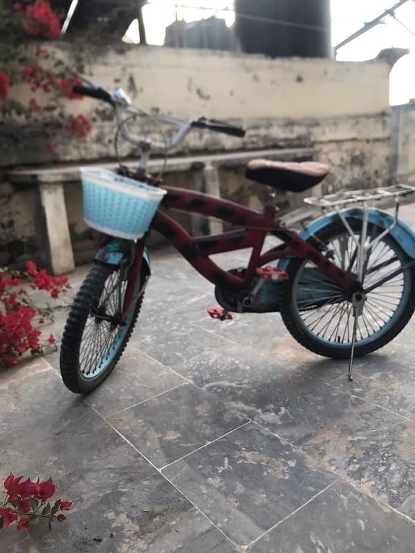 20inch Bicycle For Sale 6