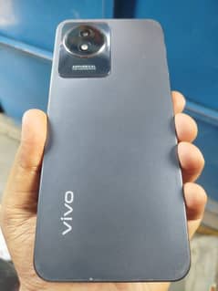 Vivo