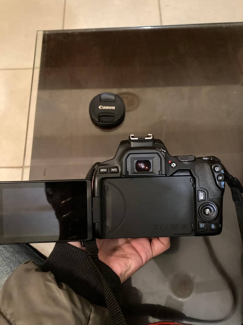 Canon 250 D like Brand New 2