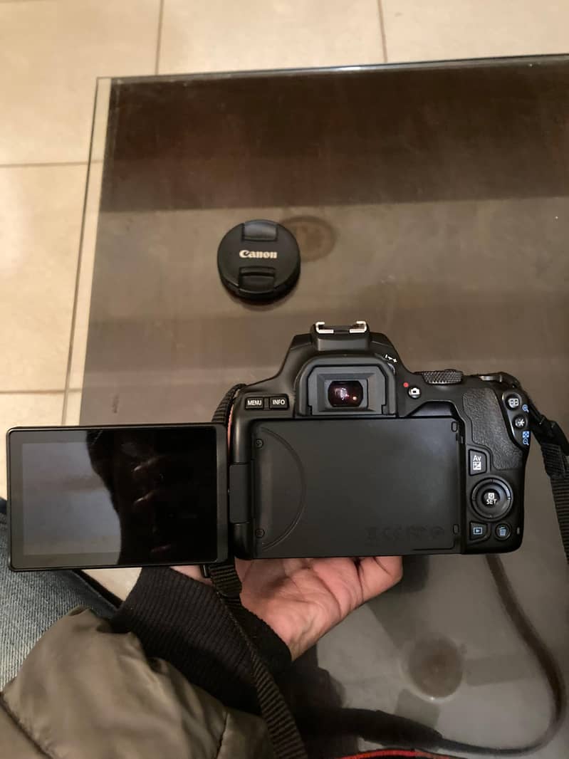 Canon 250 D like Brand New 3