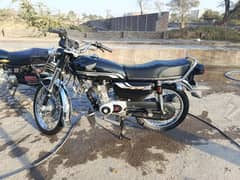 Honda 125 2023 Model  Golden Number