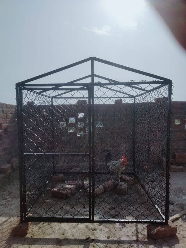 Hen cage | bird cage | iron cage | cage for sale 1