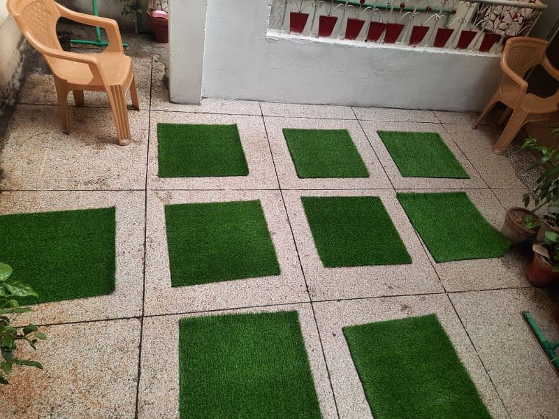 Artificial Grass Carpet/Astro Truf. 1