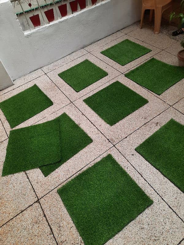 Artificial Grass Carpet/Astro Truf. 2