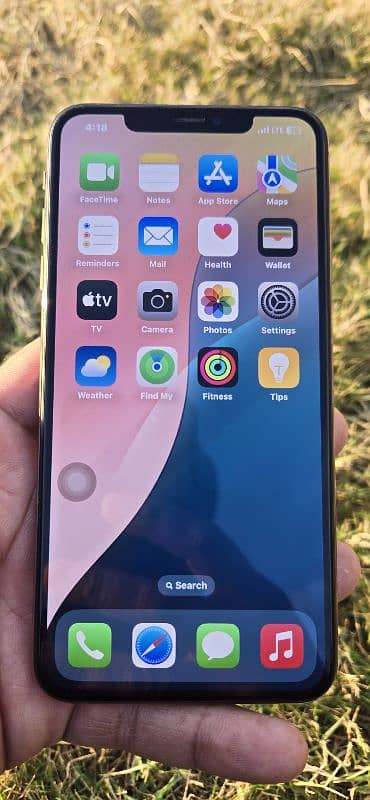 XS MAX 256GB gold PTA 1