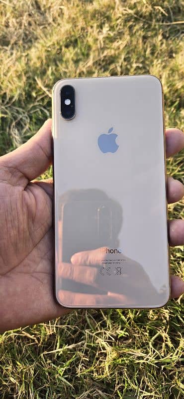 XS MAX 256GB gold PTA 2