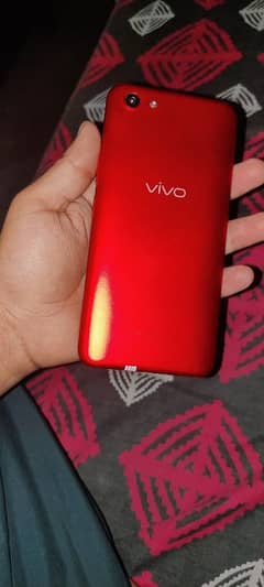 VIVO