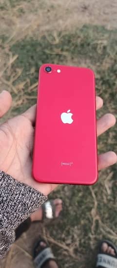 iPhone se 2020 128 gb