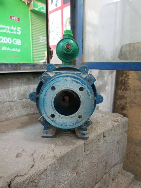 Denzo Water pump 8