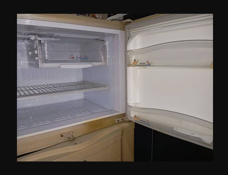 Pell refrigerator for sale 1