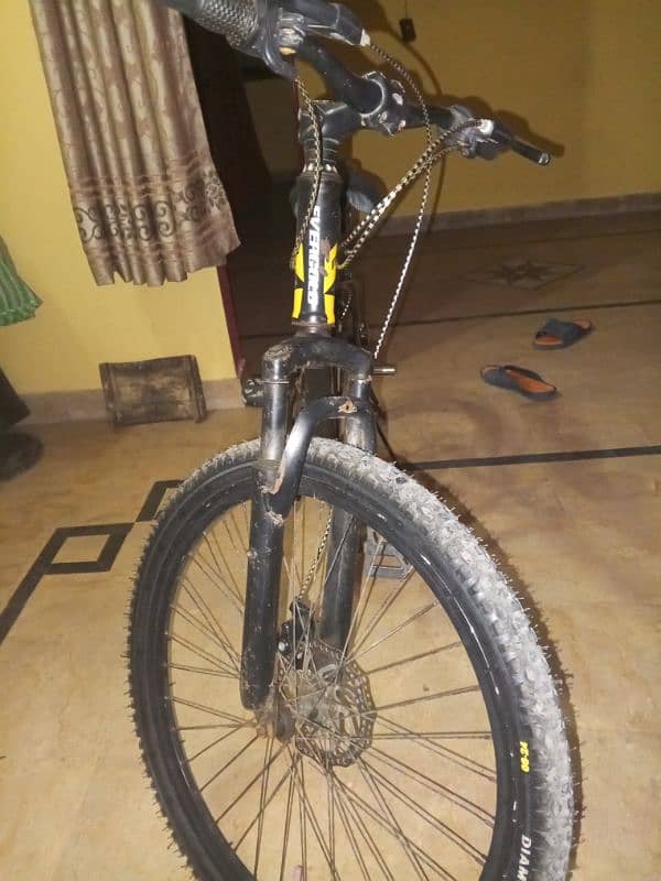 EVERGOLD mtb-race Shimano 0