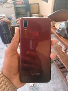 vivo