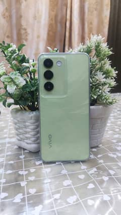 Vivo Y100 for Sale – Almost New!