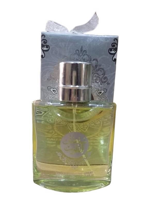 Long Lasting Fragrance Mens Perfume,100ml 0