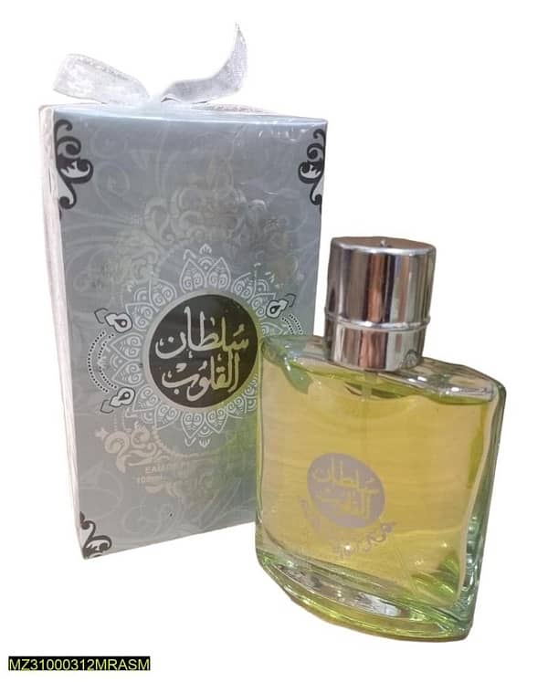 Long Lasting Fragrance Mens Perfume,100ml 1