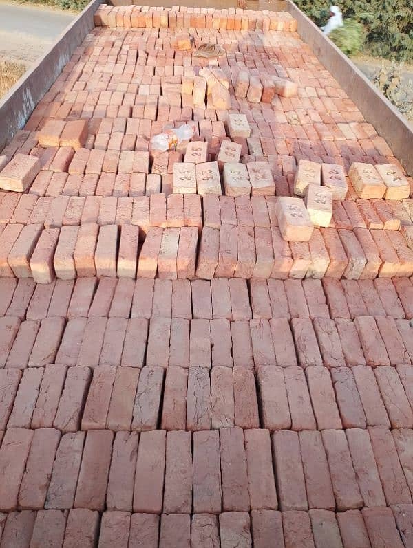 Dara Doom Bricks /Direct bhata 2