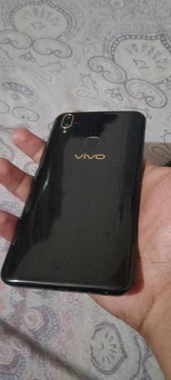 Vivo