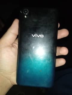 vivo