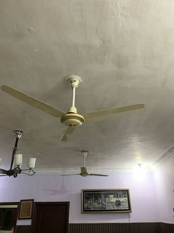 Fans for Sale! 1