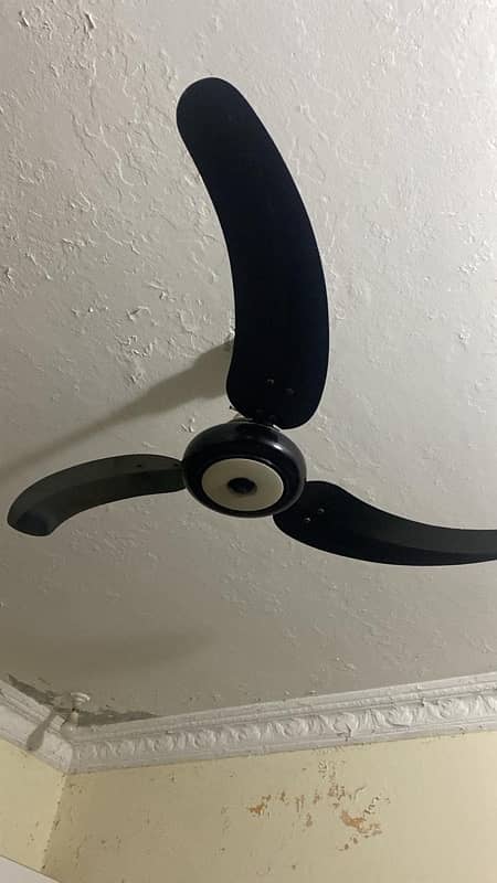 Fan for Sale! 0