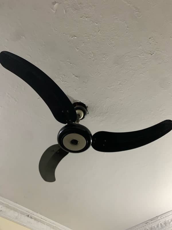 Fan for Sale! 1