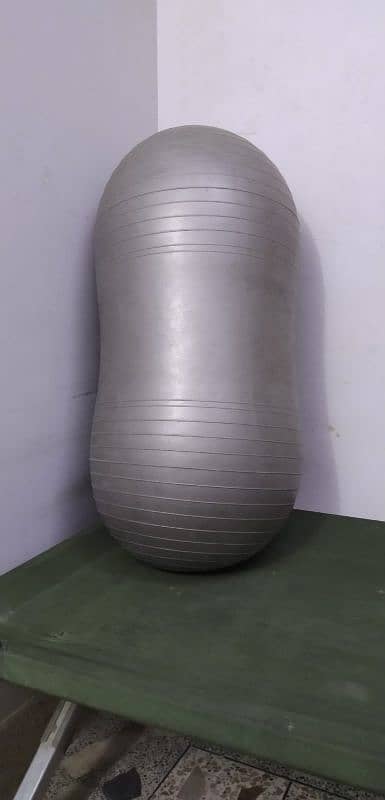 Gym Balloon (Fresh Condition) 1