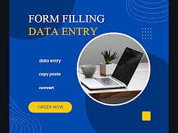 "Data Entry & Form Filling Specialist" 11