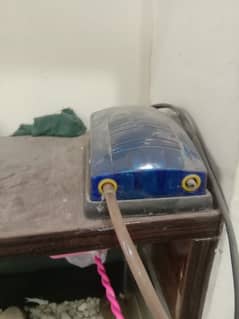 fish  aquarium  heater  and pump  and feed