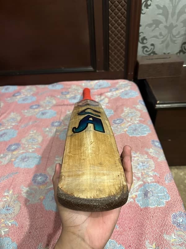 CA 15000 plus player Edition bat 1