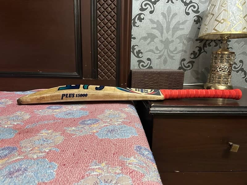 CA 15000 plus player Edition bat 3