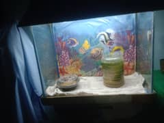 Aquarium